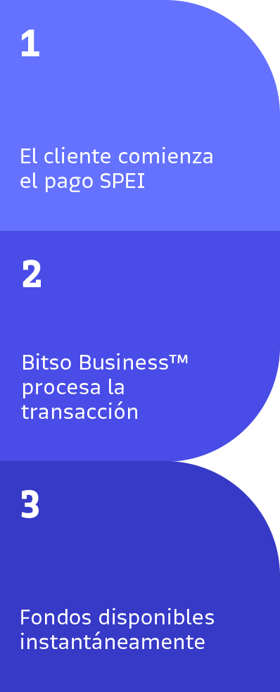 BITSO_LandingPage_Mobile